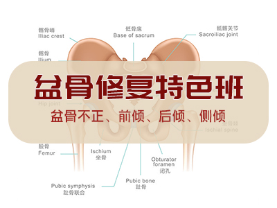 骨盆修复培训